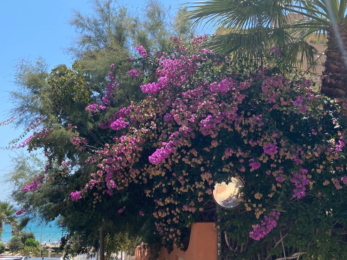 Alicante Apartamento En La Playa Muchavista-San Juan - Marluma Frente Al Mar La Venteta Екстериор снимка