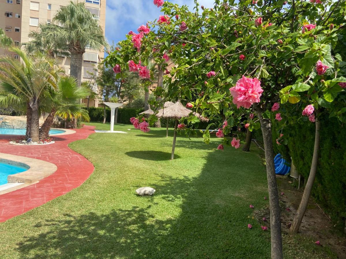 Alicante Apartamento En La Playa Muchavista-San Juan - Marluma Frente Al Mar La Venteta Екстериор снимка